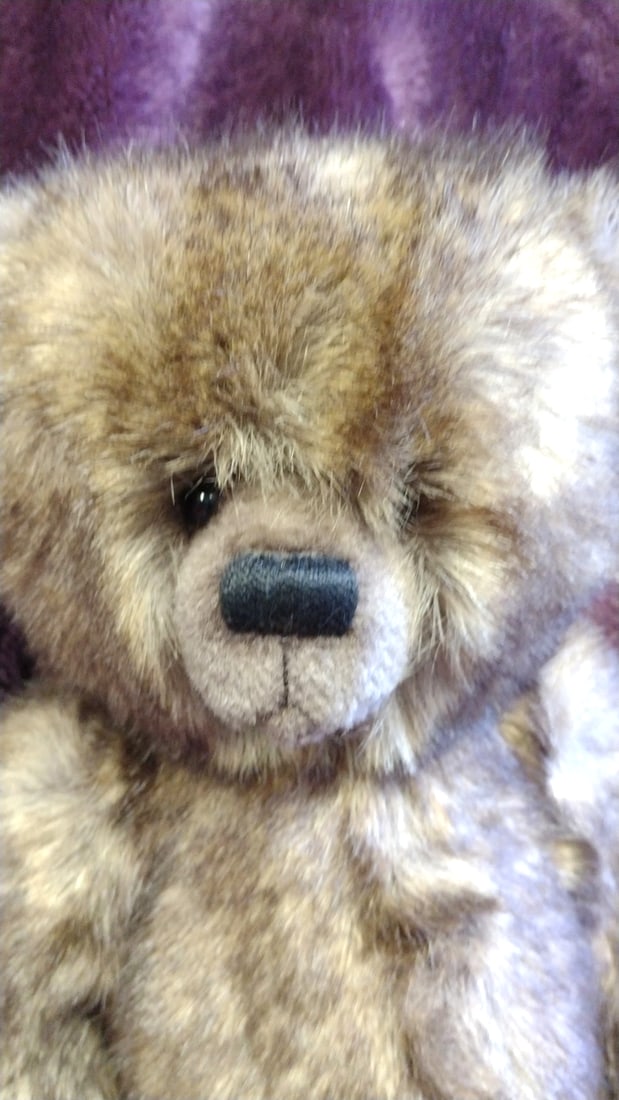 Pasha Bears Original Brown Teddy Bear Plush Signed Sharon Lederer - 2