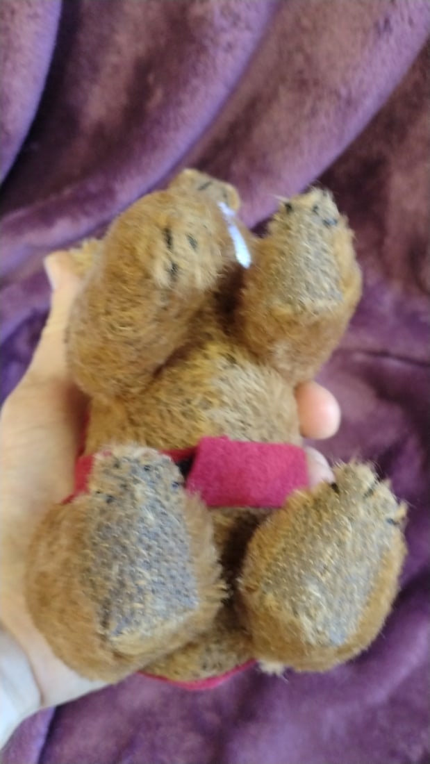 Queen Bears 2000 Turn Of The Century Y2k Brown Plush Bear With Red Harness 1 - 4
