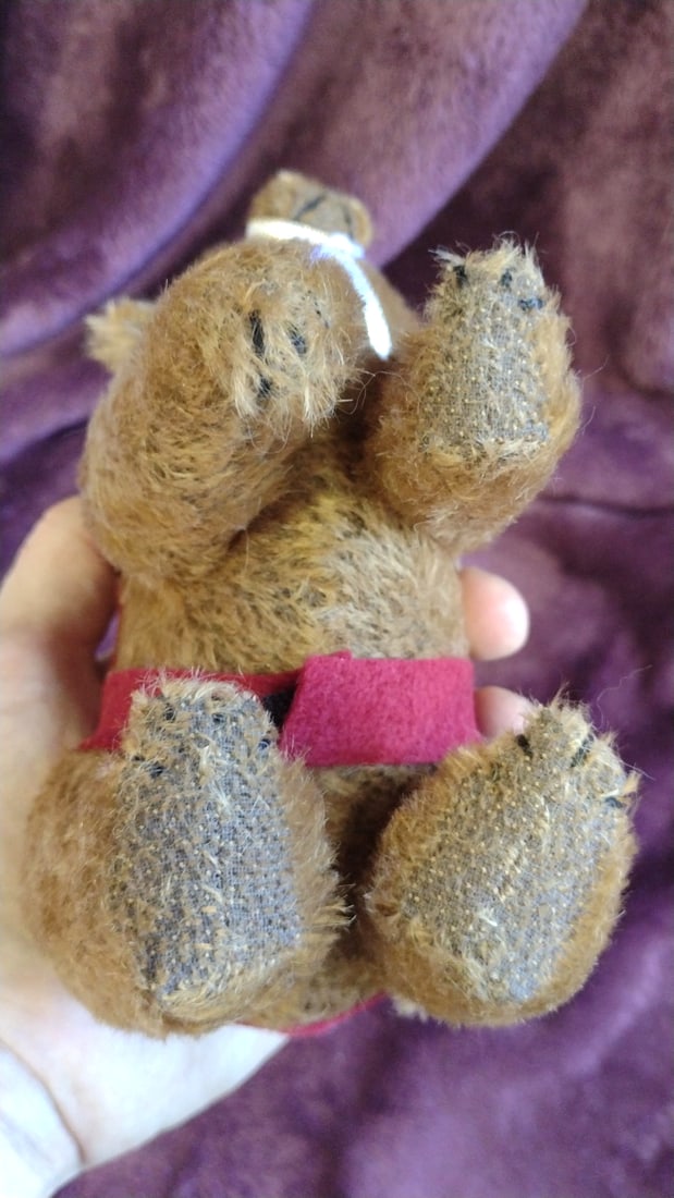 Queen Bears 2000 Turn Of The Century Y2k Brown Plush Bear With Red Harness 1 - 5