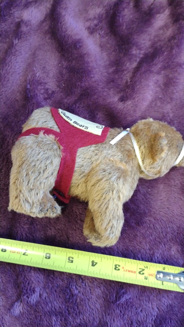 Queen Bears 2000 Turn Of The Century Y2k Brown Plush Bear With Red Harness 1 - 6