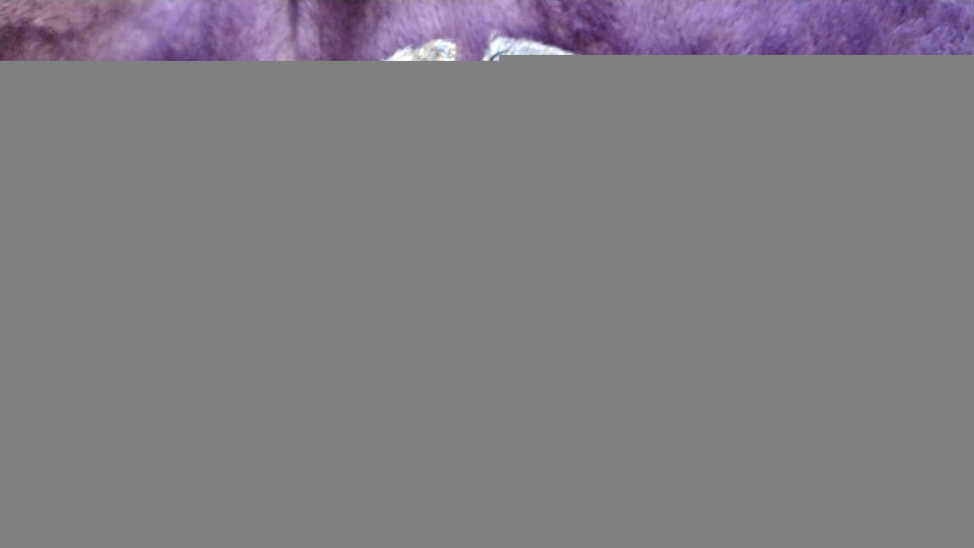 Queen Bears 2000 Turn Of The Century Y2k Brown Plush Bear With Red Harness 2 - 3