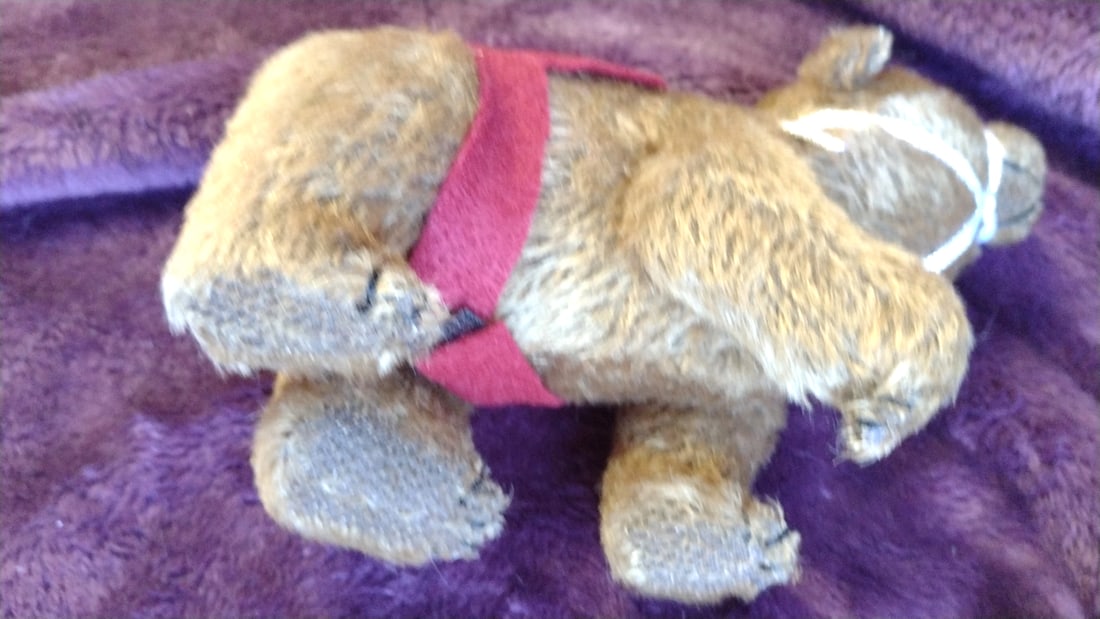 Queen Bears 2000 Turn Of The Century Y2k Brown Plush Bear With Red Harness 2 - 4