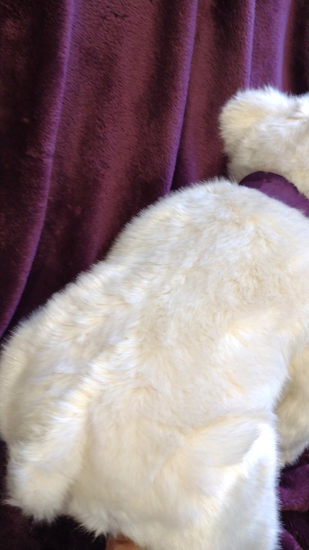 Beaver Valley No. 1425 White Plush Polar Bear With Purple Bow Kaylee Nilan - 6