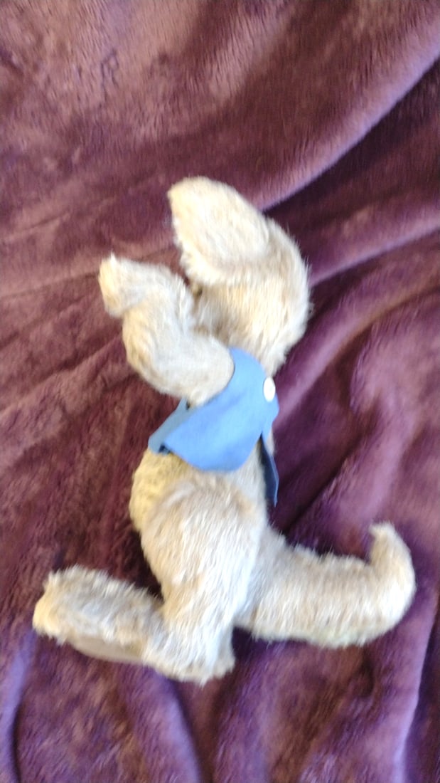 Sharon Lederer Pasha Artist Beige Mohair Kangaroo Plush With Blue Felt Vest - 6
