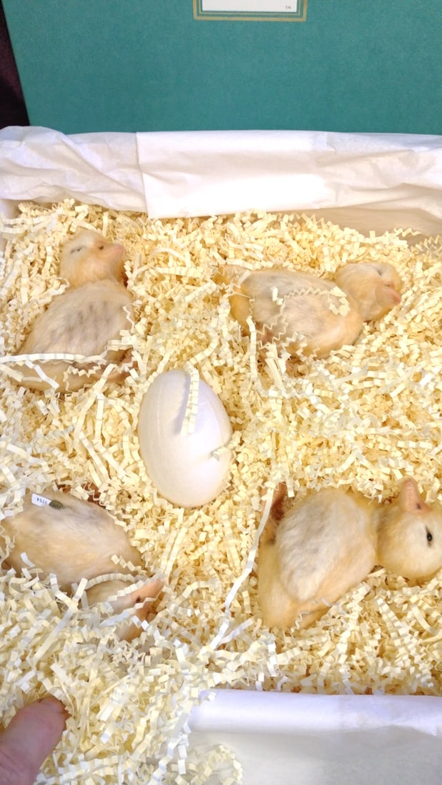 R. John Wright Beatrix Potter Collection Jemima's Ducklings Doll Set 0704/1000 - 2