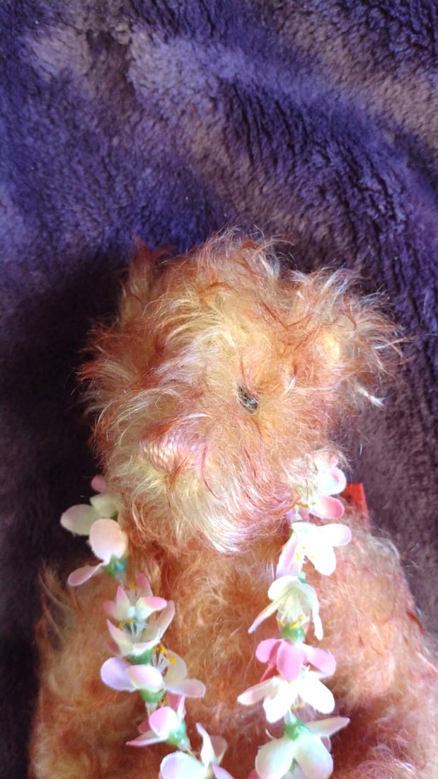 Bev Dodd Artist Bear Mohair - 2