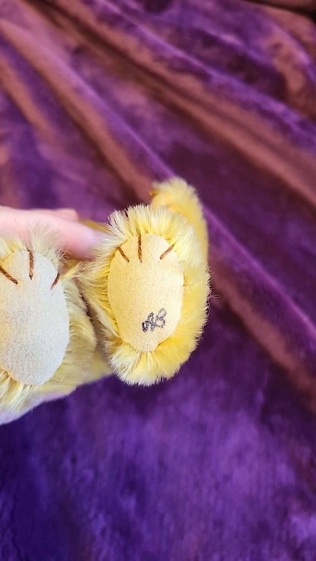 Artist Made Signed Honey Yellow Jointed Teddy Bear With Suede Paw Pads And Gold Beaded Accents - 5