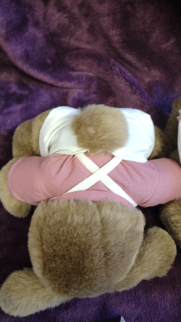 Robert Raikes Wood Face Plush Bunny Rabbits Ashley And Brett 1988 - 6