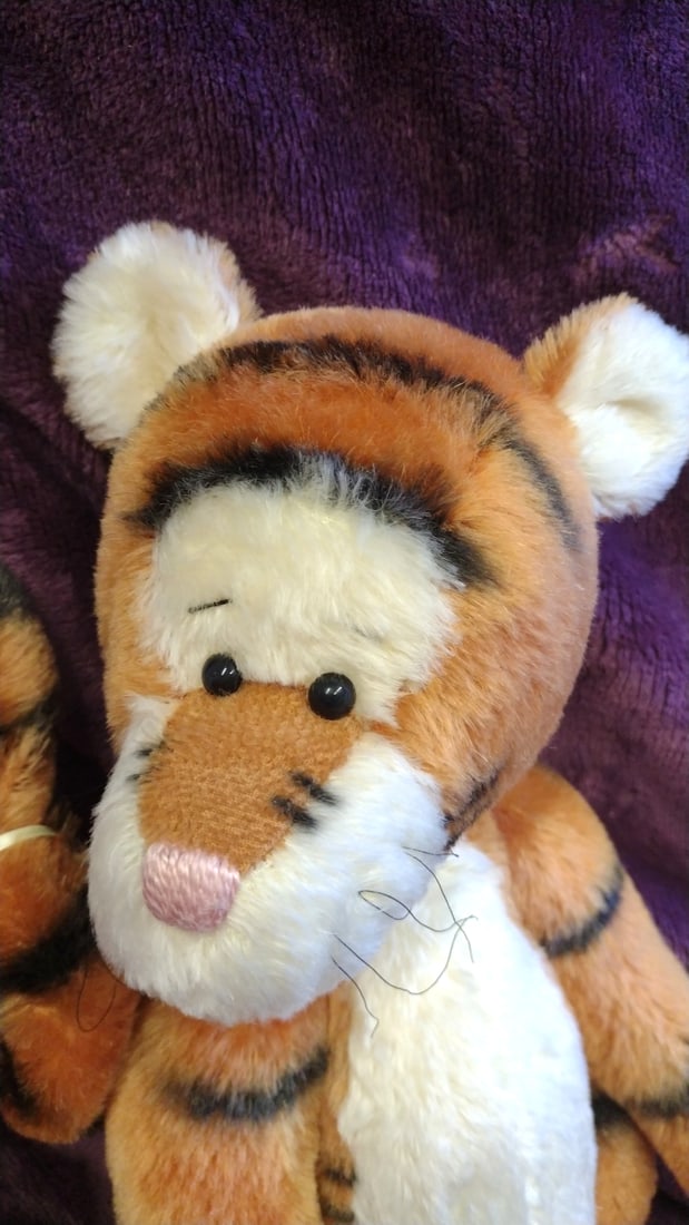 Pasha Bear Tigger Artist Doll Sharon Lederer - 2