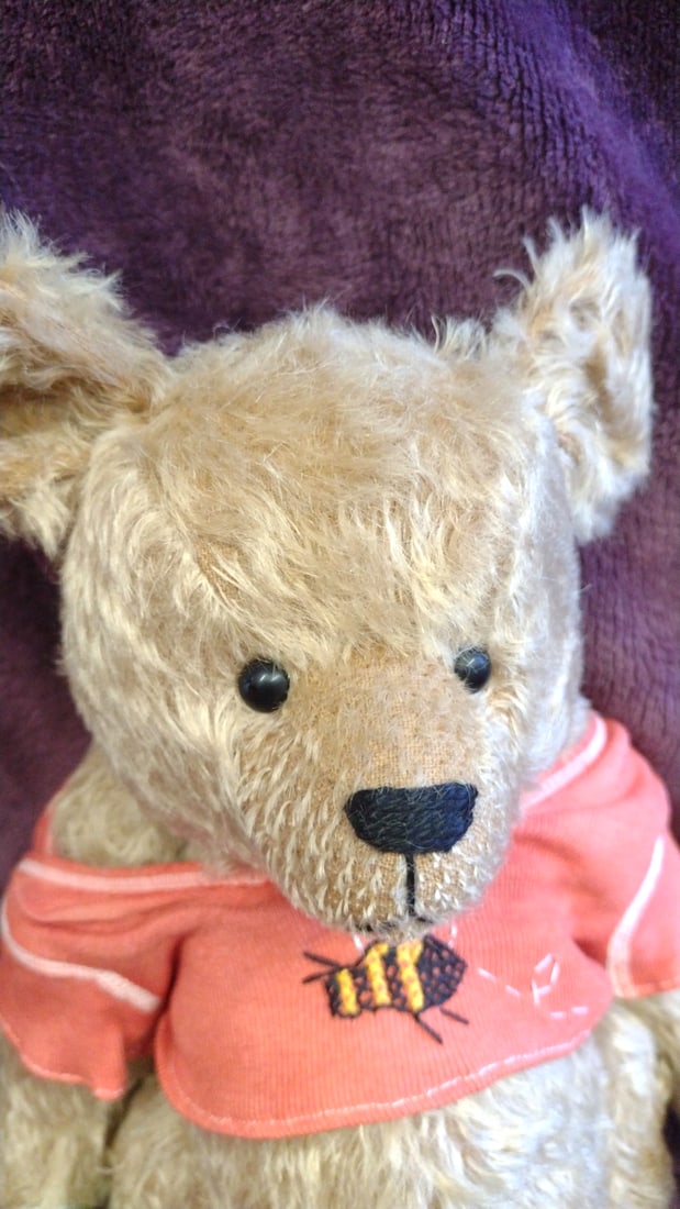 Pasha Bears Tan Teddy Bear Plush With Coral Bee Shirt Sharon Lederer - 2