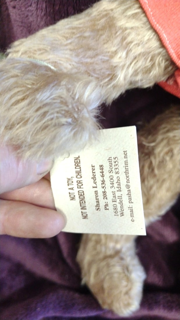 Pasha Bears Tan Teddy Bear Plush With Coral Bee Shirt Sharon Lederer - 6