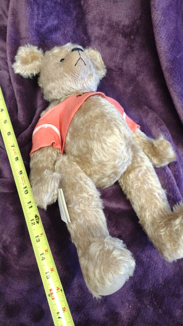 Pasha Bears Tan Teddy Bear Plush With Coral Bee Shirt Sharon Lederer - 7