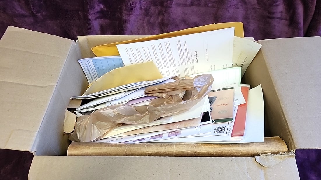 Doll Catalogs & Photos Ephemera Lot: Lee Middleton, Turner Dolls, German Dolls: 11x12x17 10lb we have gained a lot of experience shipping dolls from our previous auction. We offer in-house shipping. The shipping price shown in the listing is the liveshipping service by liveauctio