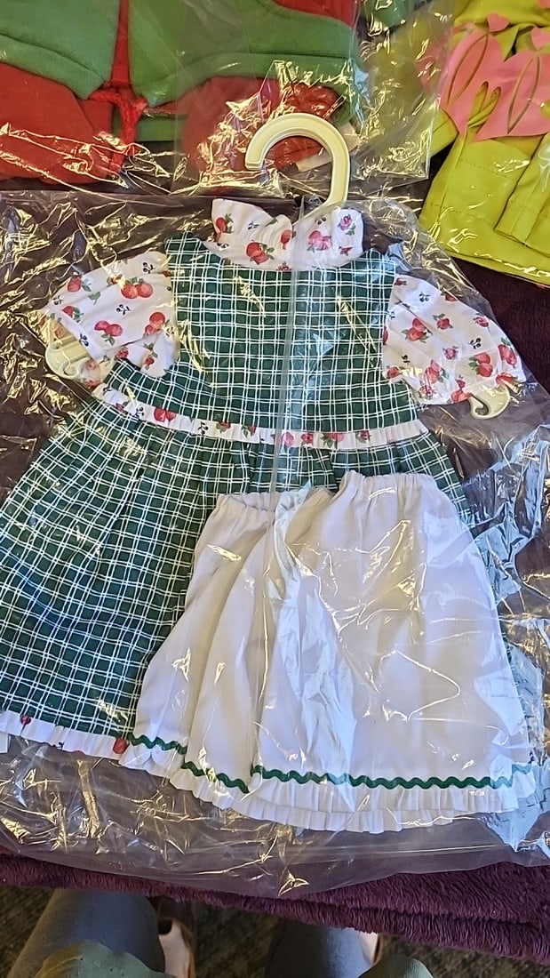 Annette Himstedt Doll Clothes Outfit Lot With Hangers, Green Plaid Dress, Apron, Red Hoodie, Lime... - 3