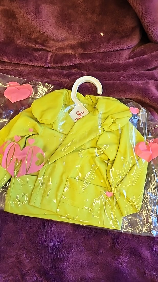 Annette Himstedt Doll Clothes Outfit Lot With Hangers, Green Plaid Dress, Apron, Red Hoodie, Lime... - 5