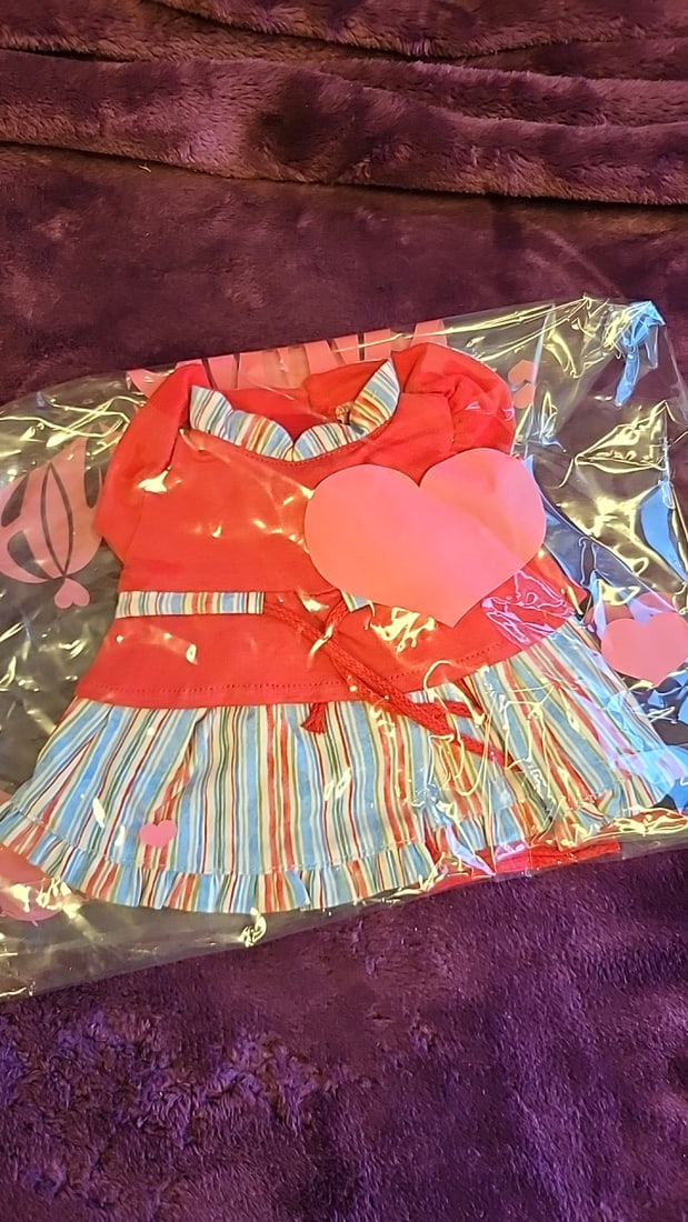 Annette Himstedt Puppen Kinder Fashion Doll Clothing Lot Dresses Jacket Hoodie - 4