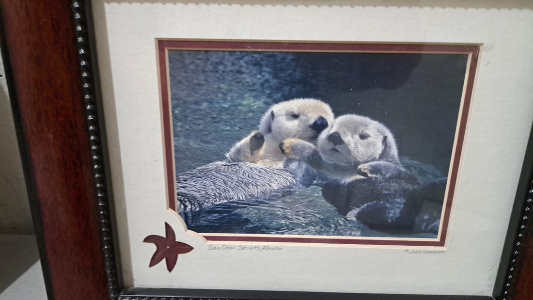 John Warden Framed Alaska Photo Prints, Sea Otter Secrets Glacier Landscape And Bonus - 2
