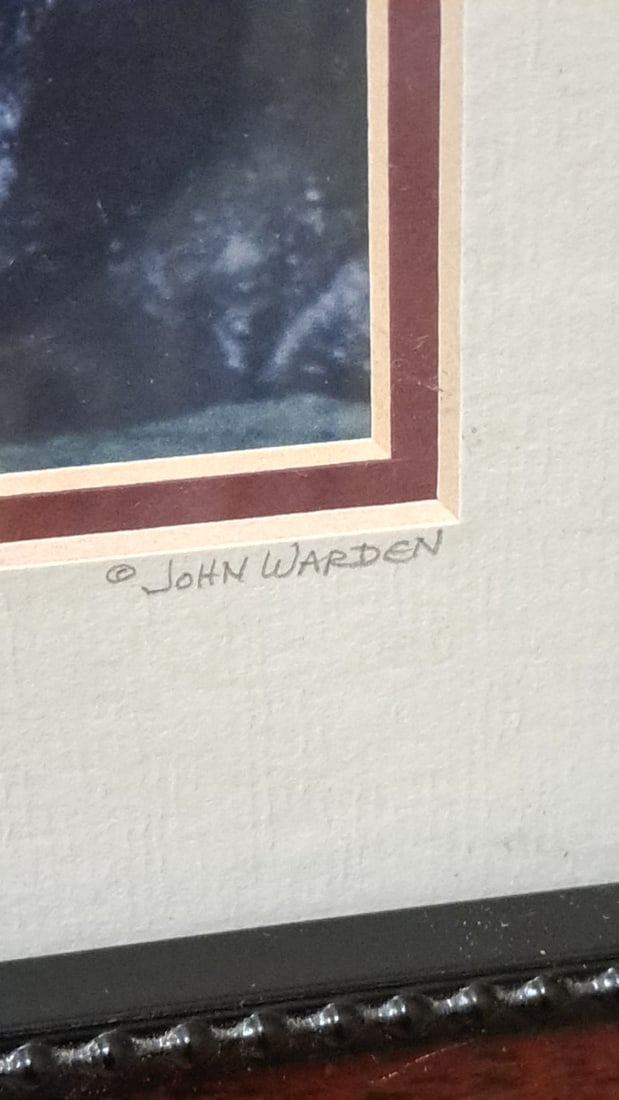 John Warden Framed Alaska Photo Prints, Sea Otter Secrets Glacier Landscape And Bonus - 4