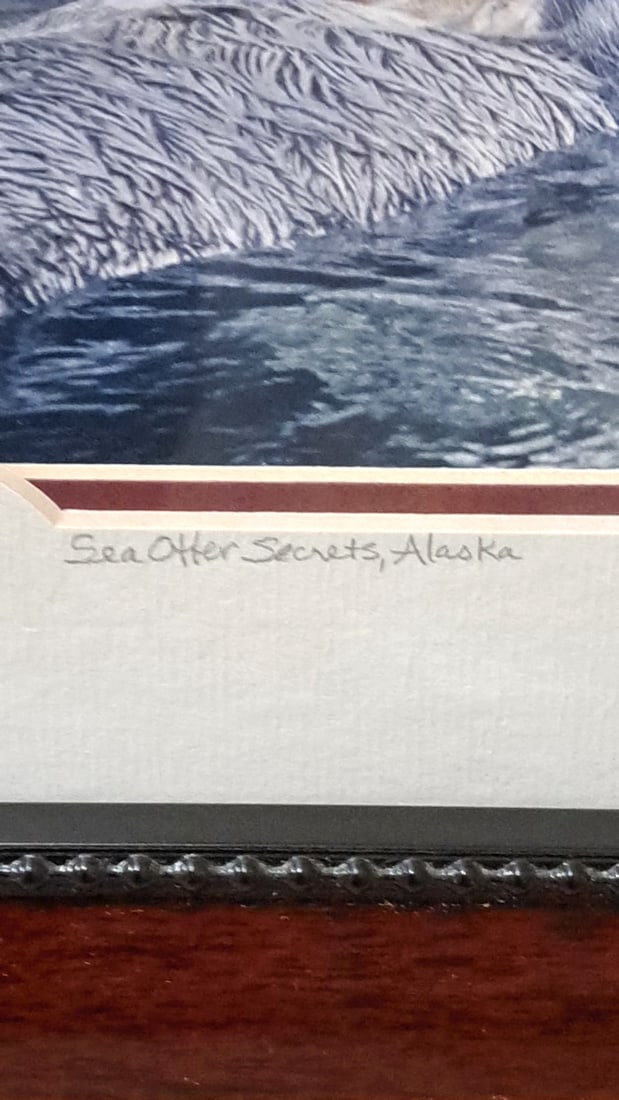 John Warden Framed Alaska Photo Prints, Sea Otter Secrets Glacier Landscape And Bonus - 5