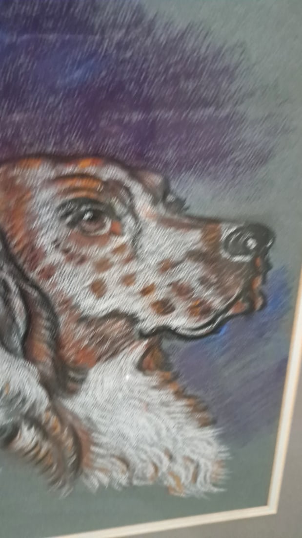 Framed Signed Pastel Portrait Of Two Setter Dogs - 4