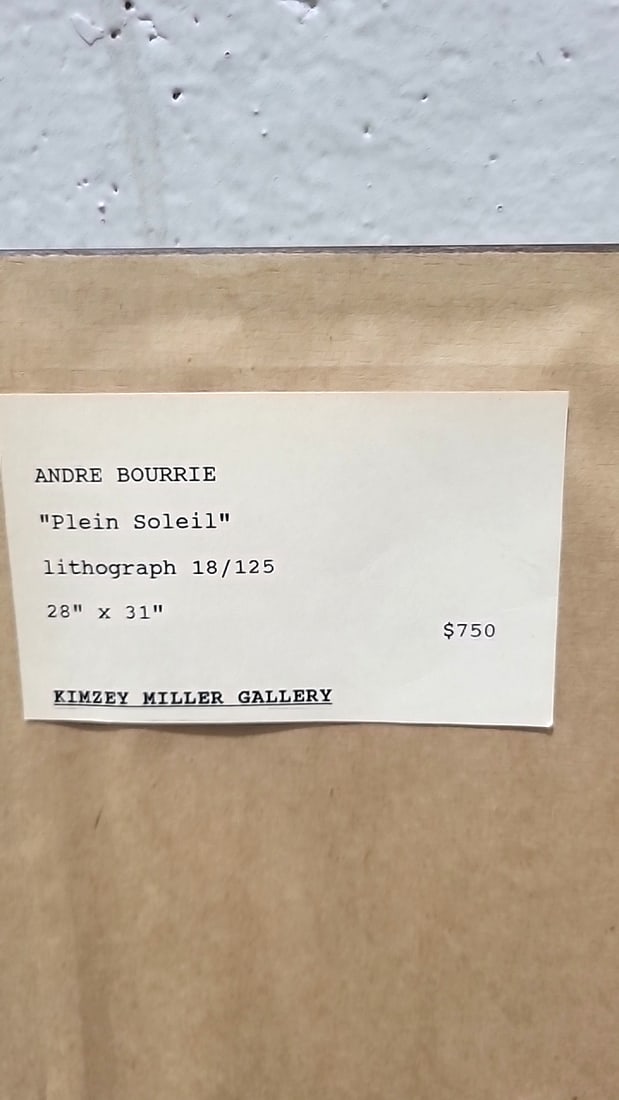 Andre Bourrie Plein Soleil Signed Lithograph 18125, Framed 28 X 32 In Glass - Wood Frame - 2