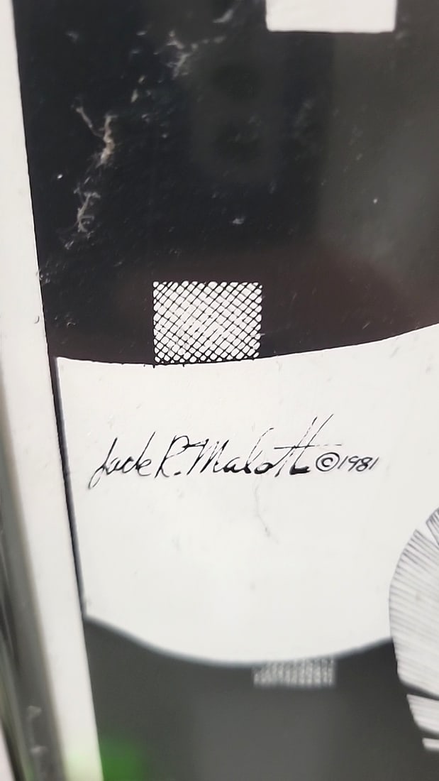Jack R. Malone 1981 Framed Black & White Eagle Feather Art Print 25 X 19 In - 2