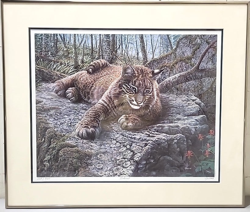 Framed Signed Newbold Limited Edition Bobcat Wildlife Print: 28. 5x24x1 10lb attention – shipping artwork is very expensive. The shipping price shown in the listing is the liveshipping service by liveauctioneers. We offer our own in-house shipping as