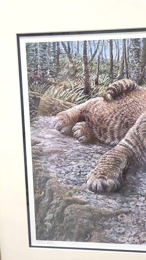 Framed Signed Newbold Limited Edition Bobcat Wildlife Print - 3