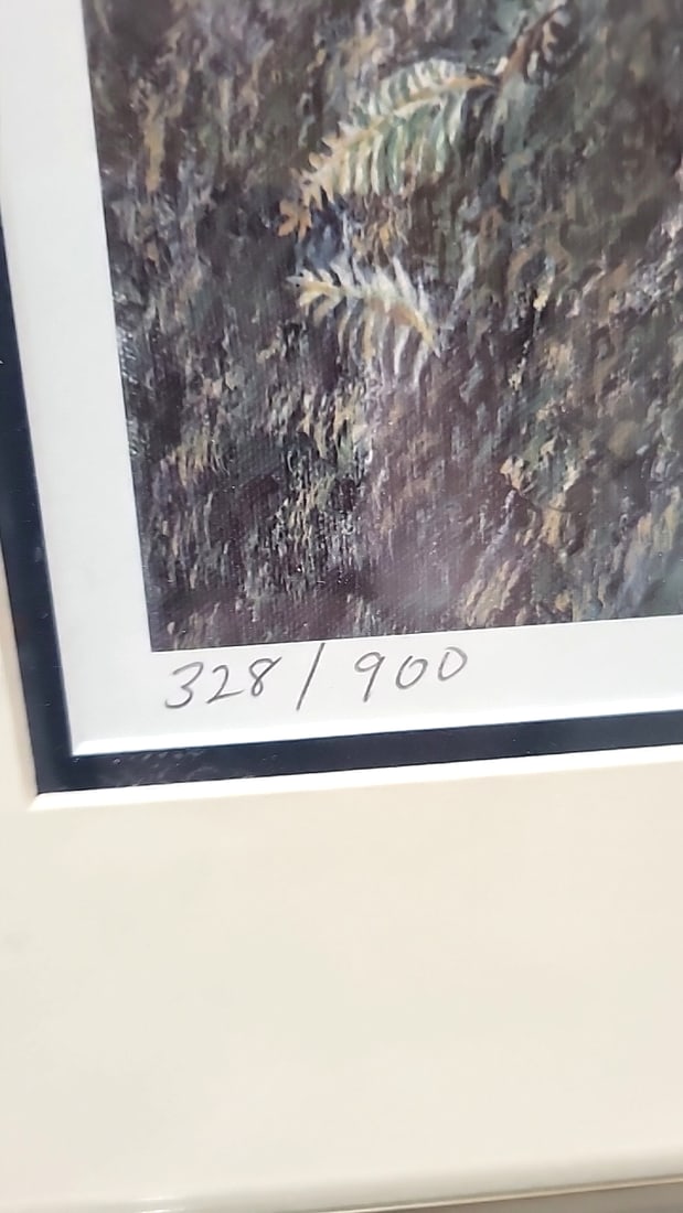 Framed Signed Newbold Limited Edition Bobcat Wildlife Print - 5