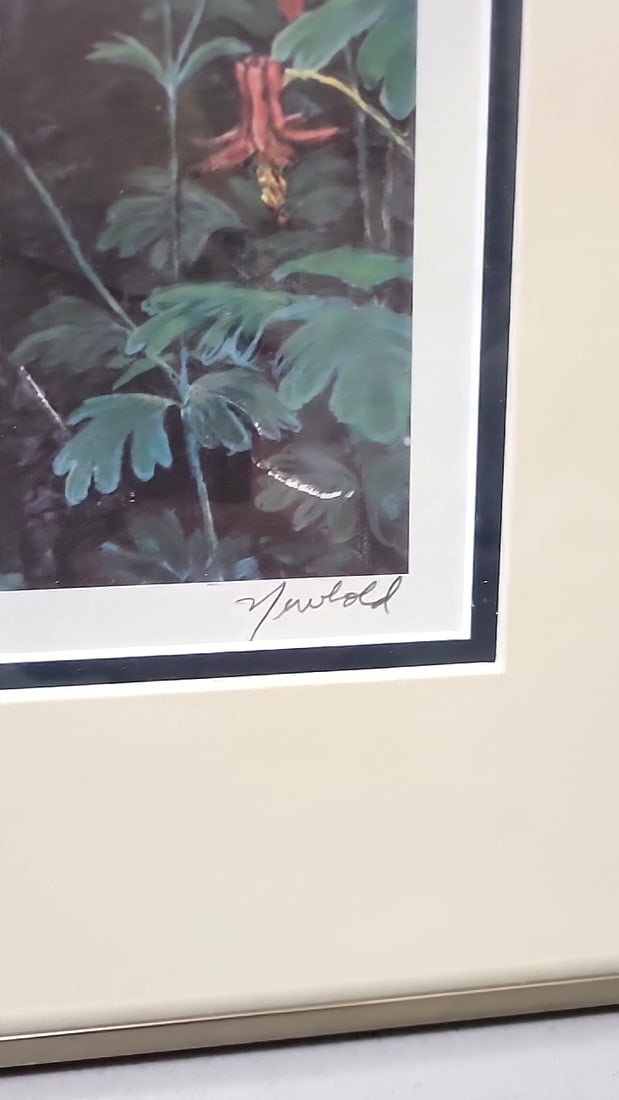 Framed Signed Newbold Limited Edition Bobcat Wildlife Print - 6