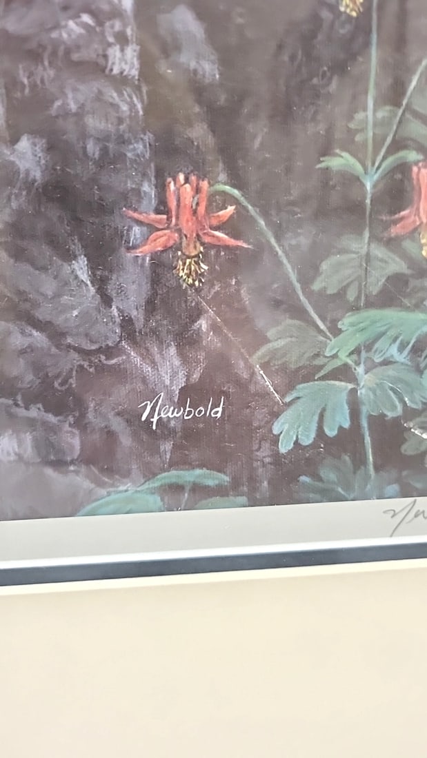 Framed Signed Newbold Limited Edition Bobcat Wildlife Print - 7