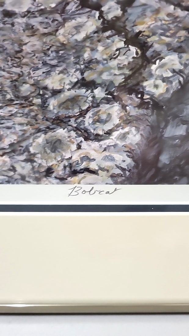 Framed Signed Newbold Limited Edition Bobcat Wildlife Print - 8