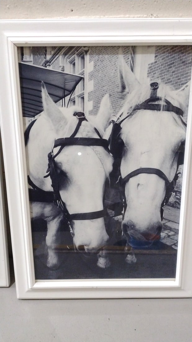 Pair Of White Framed Black-and-white Photo Prints, Eiffel Tower And Horses - 3