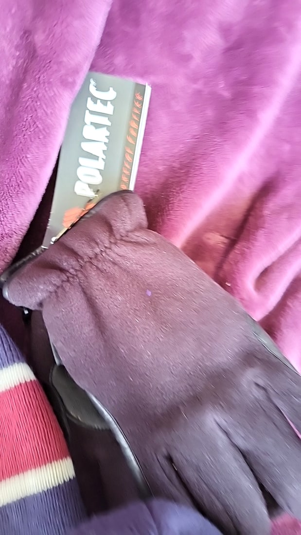 Winter Hat & Glove Lot: US Ski Team Beanies, Holland America Bucket Hat, Polartec Gloves - 4