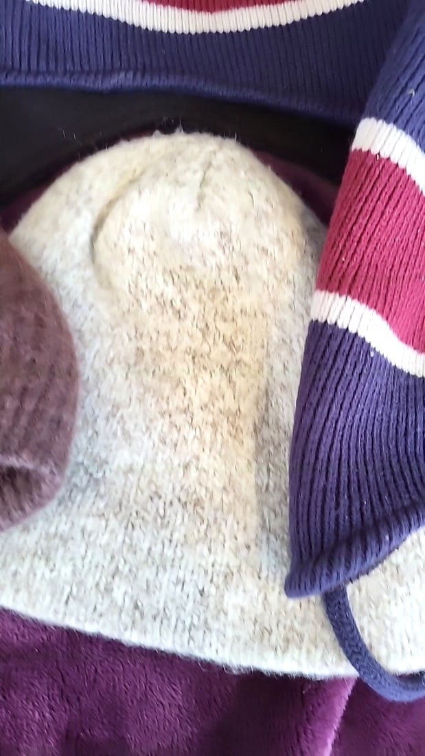Winter Hat & Glove Lot: US Ski Team Beanies, Holland America Bucket Hat, Polartec Gloves - 6