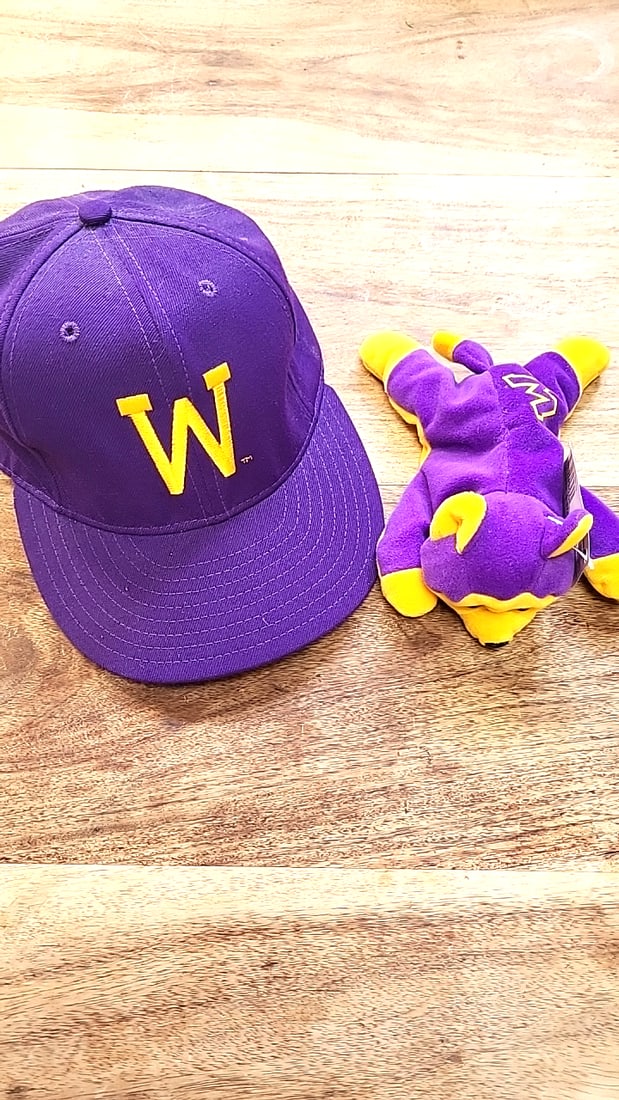 University of Washington Huskies Purple Lap Blanket Bag, Ballcap and Mascot beanie - 5