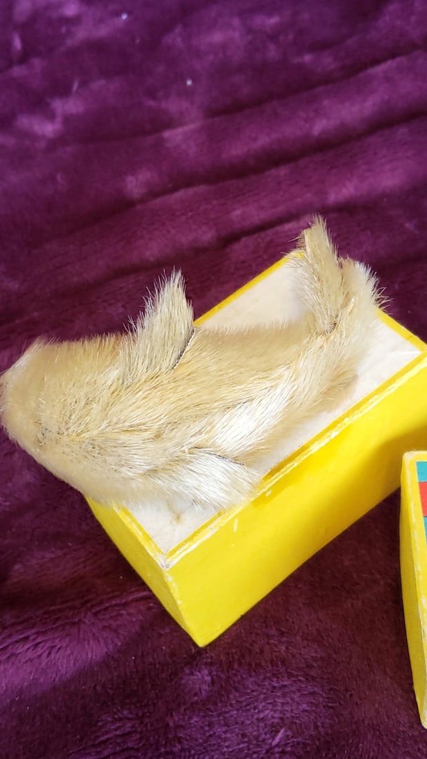 Seal Toy Japan Fur-Covered Seal Figure with Yellow Box - 3