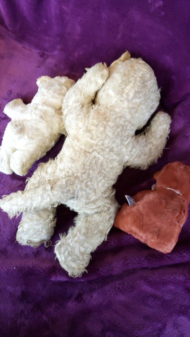 Lot of 3 Rubber Face Plush Toys: Gund Creation Lamb, Teddy SnowCrop Bear, Monkey - 8