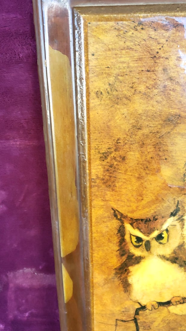 Richard H Signed "Screech Owl" Framed Owl Wall Art - 4