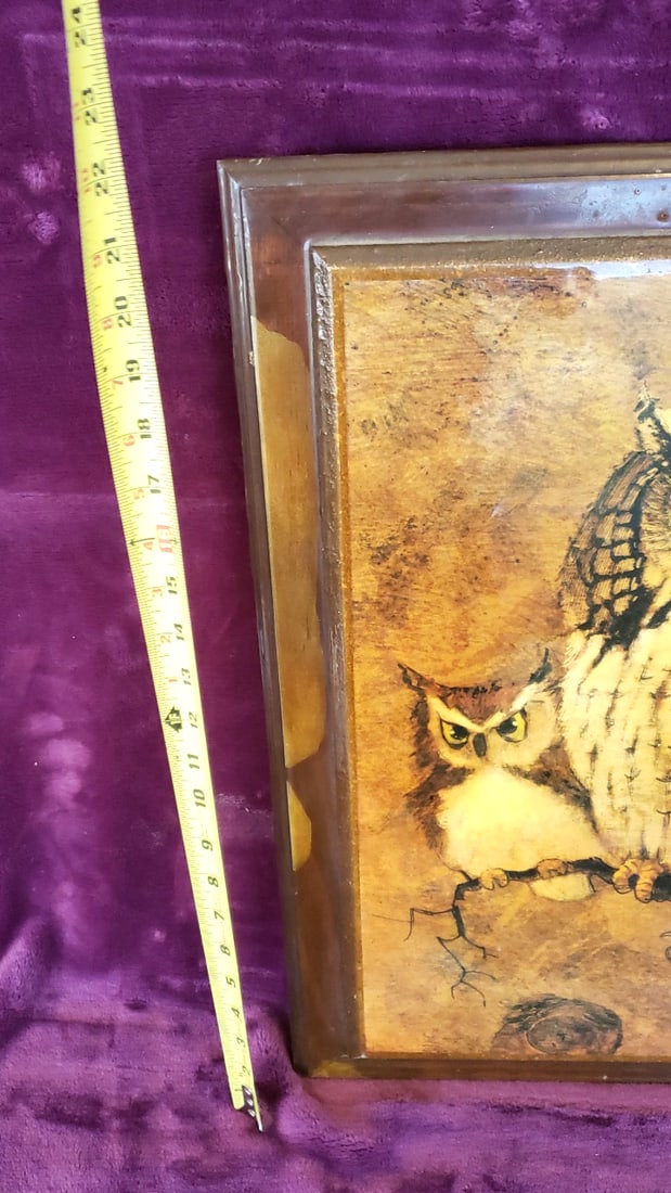 Richard H Signed "Screech Owl" Framed Owl Wall Art - 5