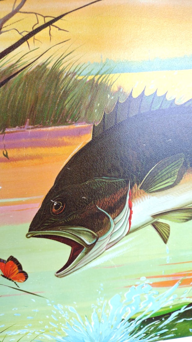 Roger Preuss Signed Framed Largemouth Bass Lily Pond Wildlife Print - 6