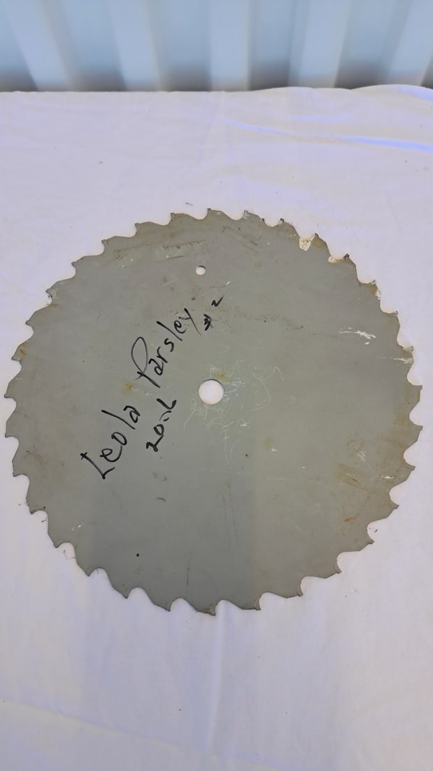 Leola Parsley Hand Painted Circular Saw Blade Cabin Elk Wall Art - 7