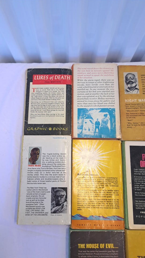 Lot Of 10 Vintage Paperback Mystery Gothic Western Books Austen Hamilton Macdonald Rinehart Disney - 5