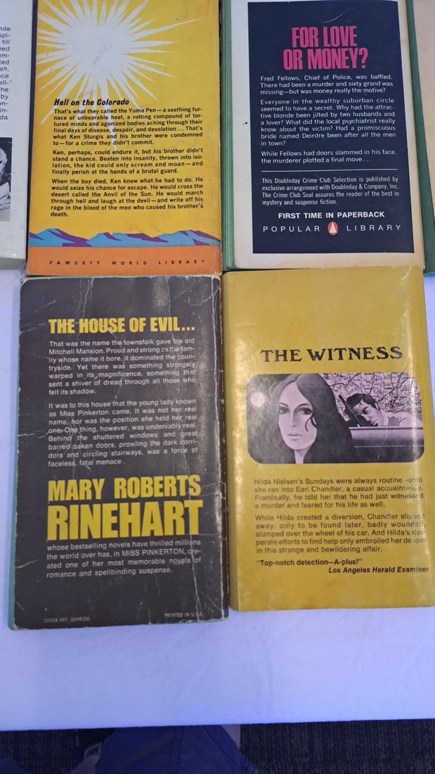 Lot Of 10 Vintage Paperback Mystery Gothic Western Books Austen Hamilton Macdonald Rinehart Disney - 7