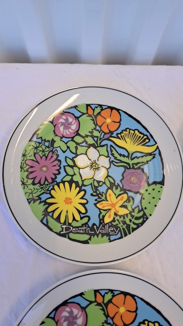 4 Death Valley Souvenir Decorative Plates Floral Desert Wildlife Designs - 2