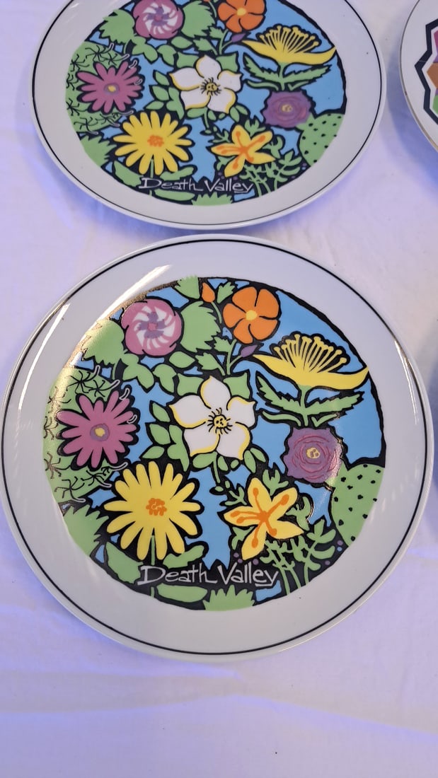 4 Death Valley Souvenir Decorative Plates Floral Desert Wildlife Designs - 3