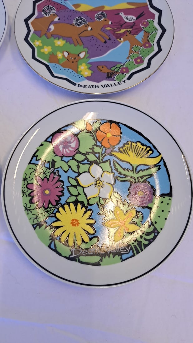 4 Death Valley Souvenir Decorative Plates Floral Desert Wildlife Designs - 4