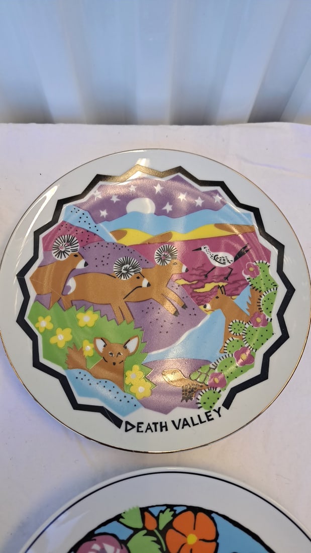 4 Death Valley Souvenir Decorative Plates Floral Desert Wildlife Designs - 5
