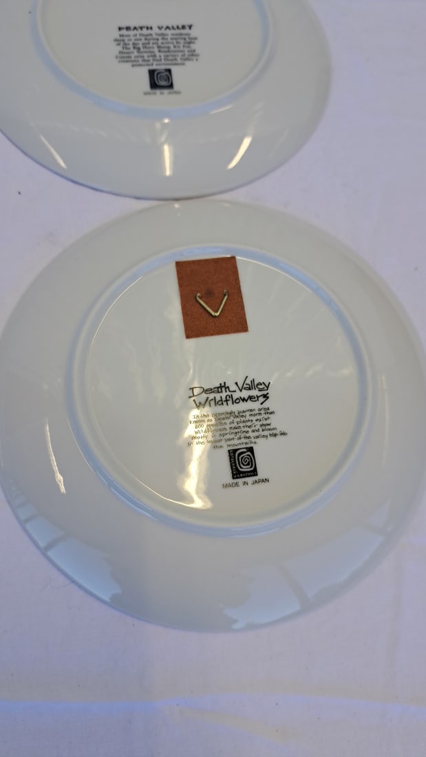 4 Death Valley Souvenir Decorative Plates Floral Desert Wildlife Designs - 9