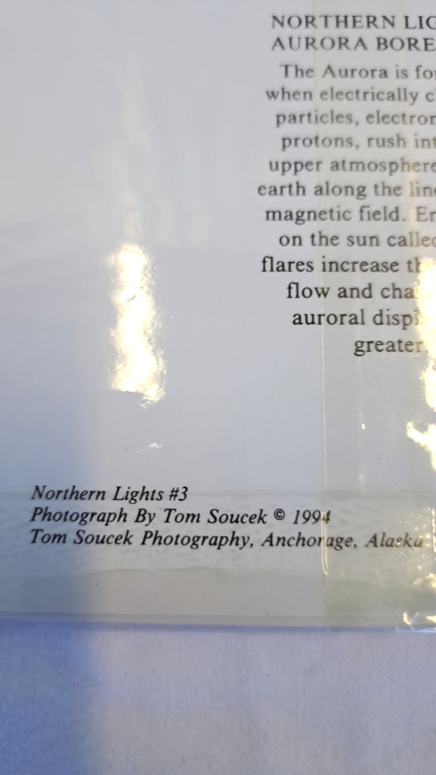 18 Tom Soucek Photography Alaska Wildlife Northern Lights Notecards - 2